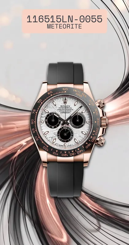 116515ln-0055 meteorite